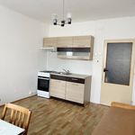 Pronajměte si 1 ložnic/e byt v České Budějovice