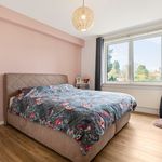Rent 2 bedroom apartment of 93 m² in Deurne