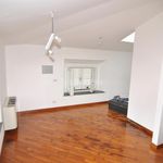Rent 1 bedroom apartment of 150 m² in Livorno
