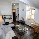 Rent 1 bedroom apartment of 28 m² in Kraków