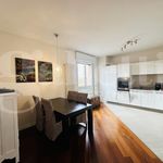 Rent 2 bedroom apartment of 140 m² in Verona