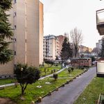 Rent a room of 116 m² in Milan