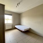 Rent 1 bedroom apartment in Libramont-Chevigny