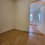 Rent 2 bedroom apartment of 48 m² in Karviná