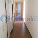 Rent 3 bedroom apartment of 96 m² in Bari