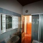 Rent 1 bedroom apartment of 35 m² in Biella
