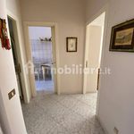 Rent 3 bedroom apartment of 65 m² in Anzio