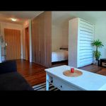 Rent 1 bedroom apartment of 50 m² in Stuttgart