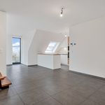 Rent 3 bedroom apartment of 116 m² in Merelbeke