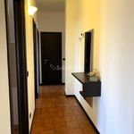 Rent 2 bedroom apartment of 80 m² in Brugherio