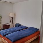 Miete 2 Schlafzimmer wohnung in Basel