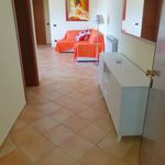 Affitto 3 camera appartamento di 95 m² in Belvedere Marittimo