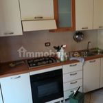 Rent 2 bedroom apartment of 50 m² in Ascea