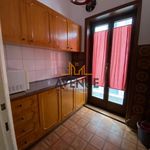 Rent 1 bedroom house of 45 m² in Panorama