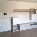 Affitto 3 camera appartamento di 80 m² in Brindisi