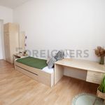 Rent 1 bedroom apartment of 10 m² in Brno