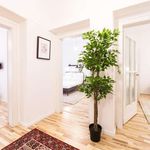 Rent a room of 70 m² in Berlin