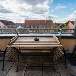 Rent 2 bedroom apartment of 58 m² in Magdeburg