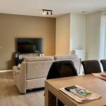 Rent 1 bedroom apartment in Vorselaar