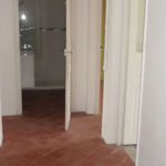 Appartement de 95 m² avec 4 chambre(s) en location à Perpignan
