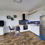 Rent 1 bedroom apartment of 35 m² in Plzeň