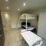 Rent 1 bedroom apartment of 22 m² in METZ