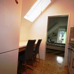 Rent 2 bedroom apartment of 30 m² in Leoben