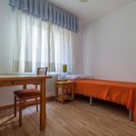 Rent 4 bedroom apartment in Granada