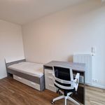 Rent 4 bedroom apartment of 109 m² in Plzeň