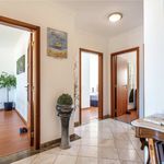Rent 2 bedroom apartment of 80 m² in Tavira