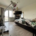 Rent 7 bedroom apartment of 90 m² in Antwerpen