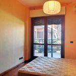 Affitto 1 camera appartamento di 64 m² in Roma