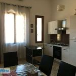 Rent 2 bedroom apartment of 50 m² in Lecce