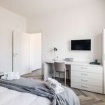 Affitto 1 camera appartamento di 43 m² in Bologna