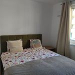 Rent 2 bedroom apartment of 1 m² in Trnava