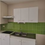Rent 1 bedroom apartment of 29 m² in SUR TILLE