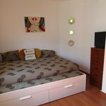 Rent 1 bedroom apartment in Santa Cruz
