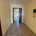 Rent 5 bedroom apartment of 168 m² in Messina