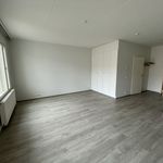 Rent 1 bedroom apartment of 38 m² in Jaakkola,