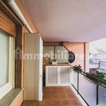 Rent 5 bedroom apartment of 149 m² in Monte Argentario