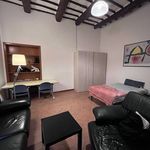 Rent 3 bedroom apartment of 80 m² in Perugia