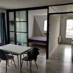Rent 3 bedroom apartment of 47 m² in Arrondissement of Grenoble