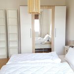 Rent 3 bedroom apartment of 70 m² in Düsseldorf