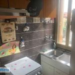 Rent 3 bedroom apartment of 65 m² in Bologna