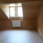 Miete 1 Schlafzimmer wohnung von 17 m² in Mittweida