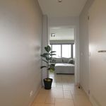 Rent 1 bedroom apartment in Anzegem