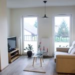 Rent 2 bedroom apartment of 36 m² in Poznan