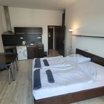 Rent 1 bedroom apartment of 28 m² in Brno