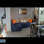 Rent 2 bedroom apartment of 50 m² in Ceriale