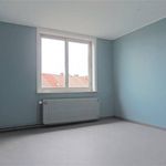 Rent 3 bedroom apartment in Tournai